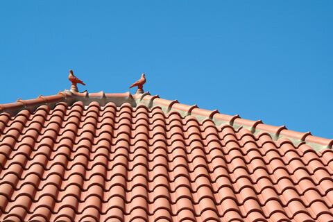 A well maintained roof in spring